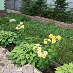 Отель XL комплекс, Яхрома, Московская область