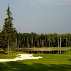 Загородный клуб Целеево, Яхрома, Московская область