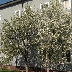 Отель На Заречной, Яхрома, Московская область