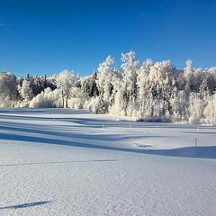 Загородный клуб Целеево, Яхрома, Московская область