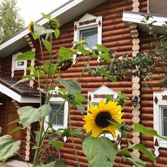 Гостевой дом Терем, Нижний Новгород, Нижегородская область