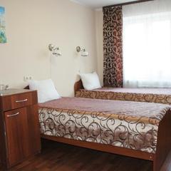 Отель Владимирский, Нижний Новгород, Нижегородская область