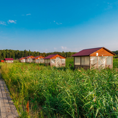База отдыха СоветSky, Тюмень, Тюменская область