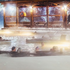 Загородный клуб Аван, Каменка, Тюменская область