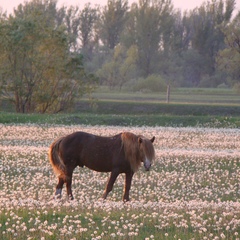 База отдыха Березовка, Заводоуковский район, Тюменская область