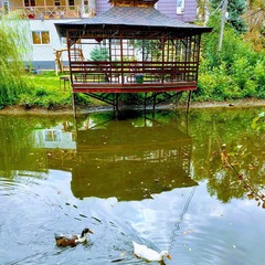 Турбаза Иволга, Энгельсский район, Саратовская область
