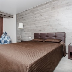 Апартаменты Сутки-дом Максима Горького д. 140, Нижний Новгород, Нижегородская область