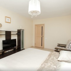 Апартаменты Сутки-дом Невзоровых 64, Нижний Новгород, Нижегородская область