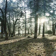 Санаторий Грушевая Роща, Нальчик, Республика Кабардино-Балкария