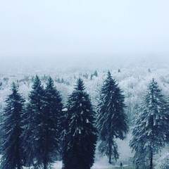 Санаторий Грушевая Роща, Нальчик, Республика Кабардино-Балкария