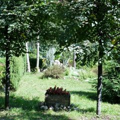 Санаторий Юбилейный, Нерехта, Костромская область