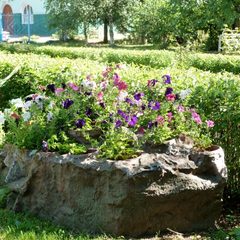 Санаторий Юбилейный, Нерехта, Костромская область