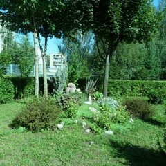 Санаторий Юбилейный, Нерехта, Костромская область