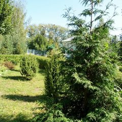 Санаторий Юбилейный, Нерехта, Костромская область