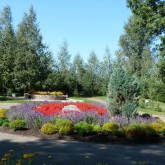 Санаторий Юбилейный, Нерехта, Костромская область