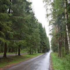 Лечебно-оздоровительный комплекс Сахареж, Некрасовский район, Ярославская область