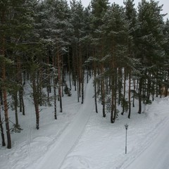 Лечебно-оздоровительный комплекс Сахареж, Некрасовский район, Ярославская область