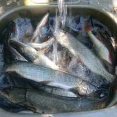 Рыболовно-охотничья база Маркин Хутор, Садовое, Астраханская область