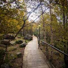 Парк-отель Экспедиция, Мурманск, Мурманская область