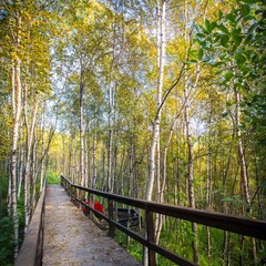 Парк-отель Экспедиция, Мурманск, Мурманская область