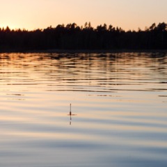 База отдыха Поместье Ампиала, Приозерск, Ленинградская область