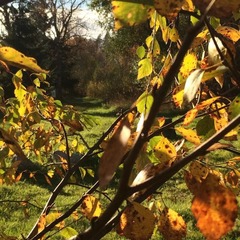 База отдыха Поместье Ампиала, Приозерск, Ленинградская область