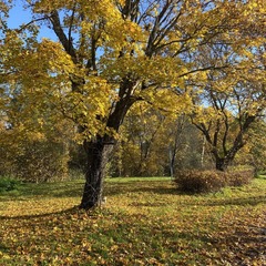 База отдыха Поместье Ампиала, Приозерск, Ленинградская область