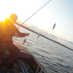 База отдыха Юркинский мыс, Сокольский район, Нижегородская область