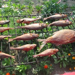 База отдыха Юркинский мыс, Сокольский район, Нижегородская область