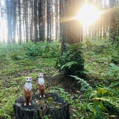 База отдыха Юркинский мыс, Сокольский район, Нижегородская область