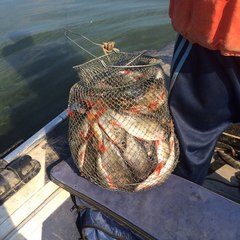 База отдыха Юркинский мыс, Сокольский район, Нижегородская область