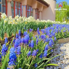 Курорт Геокурорт Янган-Тау (Санаторий), Республика Башкортостан