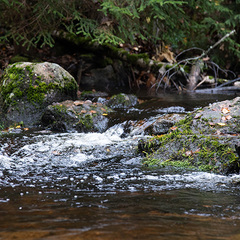 База отдыха  Заветное , Мельниково, Ленинградская область