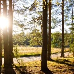 База отдыха  Заветное , Мельниково, Ленинградская область