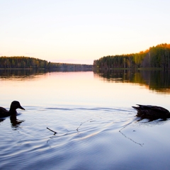 База отдыха  Заветное , Мельниково, Ленинградская область