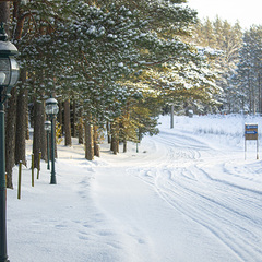 База отдыха  Заветное , Мельниково, Ленинградская область