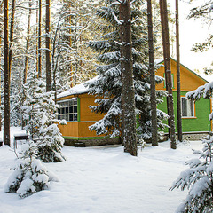 База отдыха  Заветное , Мельниково, Ленинградская область