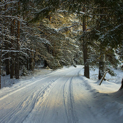 База отдыха  Заветное , Мельниково, Ленинградская область