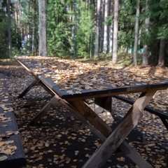 База отдыха  Заветное , Мельниково, Ленинградская область