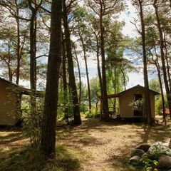 База отдыха Куршале, Поселок Лесной, Калининградская область