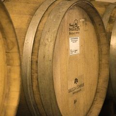 Вилла София, Среднеахтубинский район, Волгоградская область