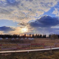 База отдыха Деревня, Можайский район, Московская область