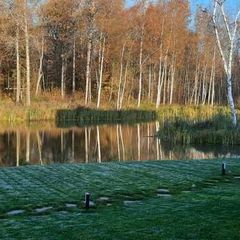 Эко-отель Легенды леса, Угличский район, Ярославская область