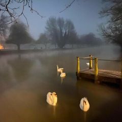 База отдыха Хутор Vilppula, Приозерский район, Ленинградская область