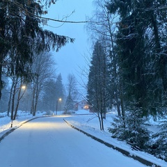 Парк-отель Ruza Forest, Нестерово, Московская область