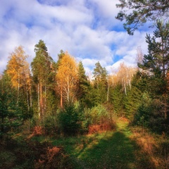 Парк-отель Ruza Forest, Нестерово, Московская область