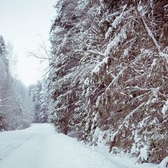 Дом отдыха Хижина, Осташковский район, Тверская область