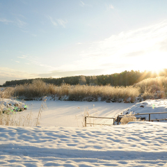 База отдыха Озёрная, Печорский район, Псковская область