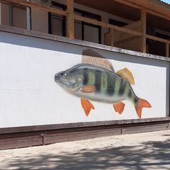 Охотничье-рыболовная база Fish Sense, Икрянинский район, Астраханская область