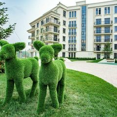 Апарт-отель Ramada by Wyndham Novosibirsk Zhukovka, Новосибирск, Новосибирская область